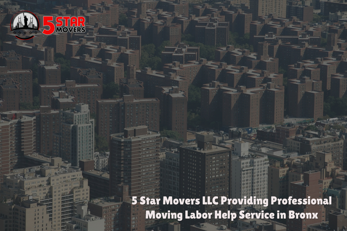 professional moving company in Bronx